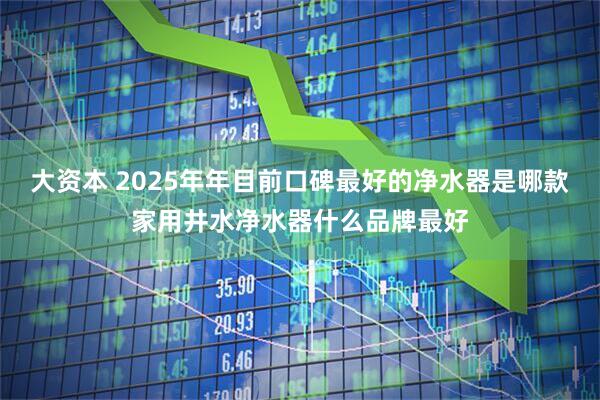 大资本 2025年年目前口碑最好的净水器是哪款家用井水净水器什么品牌最好
