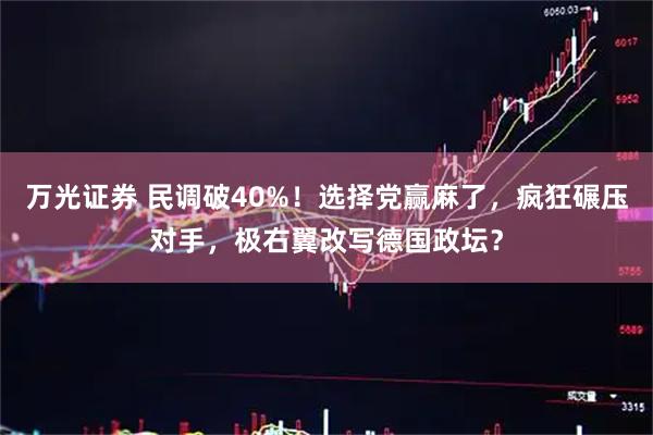 万光证券 民调破40%！选择党赢麻了，疯狂碾压对手，极右翼改写德国政坛？