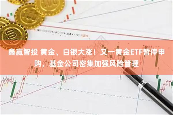 鑫赢智投 黄金、白银大涨！又一黄金ETF暂停申购，基金公司密集加强风险管理