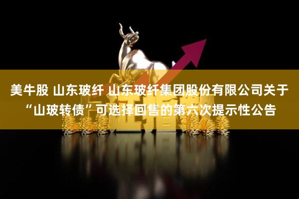美牛股 山东玻纤 山东玻纤集团股份有限公司关于“山玻转债”可选择回售的第六次提示性公告